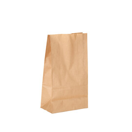 Paper Bag 8"